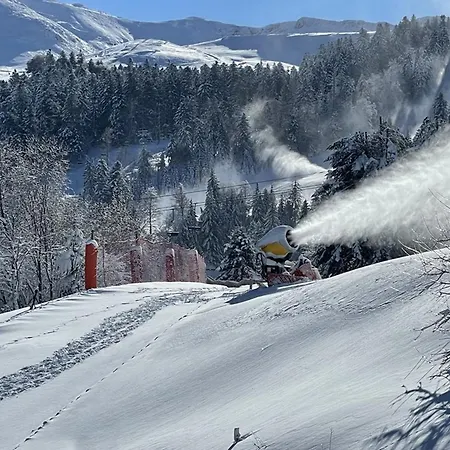 T2 Au Pied Des Pistes - 4 Pers - Fr-1-787-32 * Laveissière
